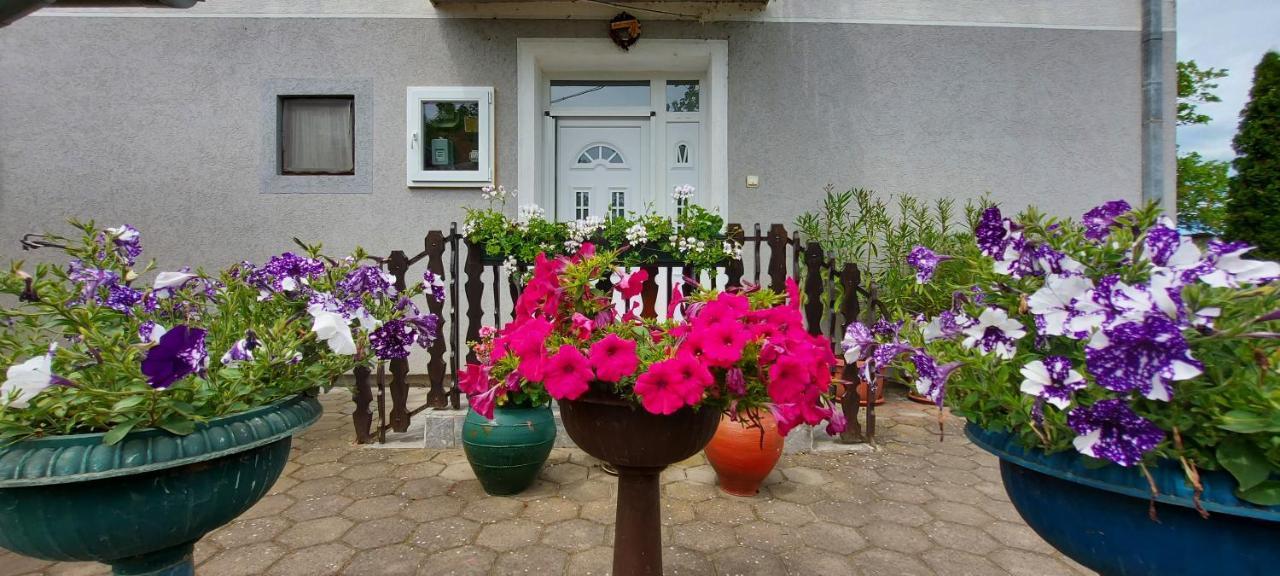 Guest House Dunavski Raj Kostol Екстериор снимка