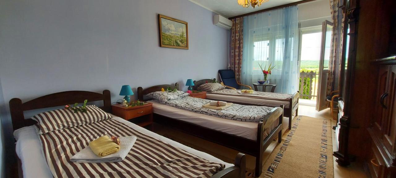 Guest House Dunavski Raj Kostol Екстериор снимка