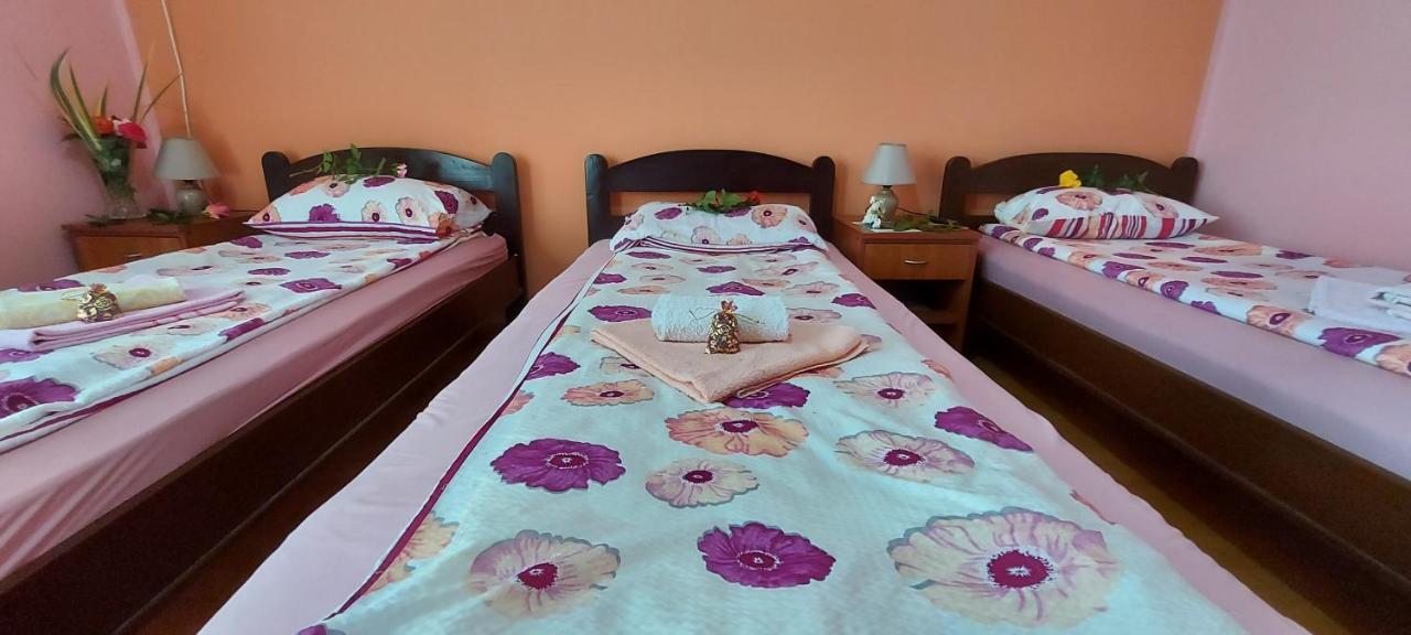 Guest House Dunavski Raj Kostol Екстериор снимка