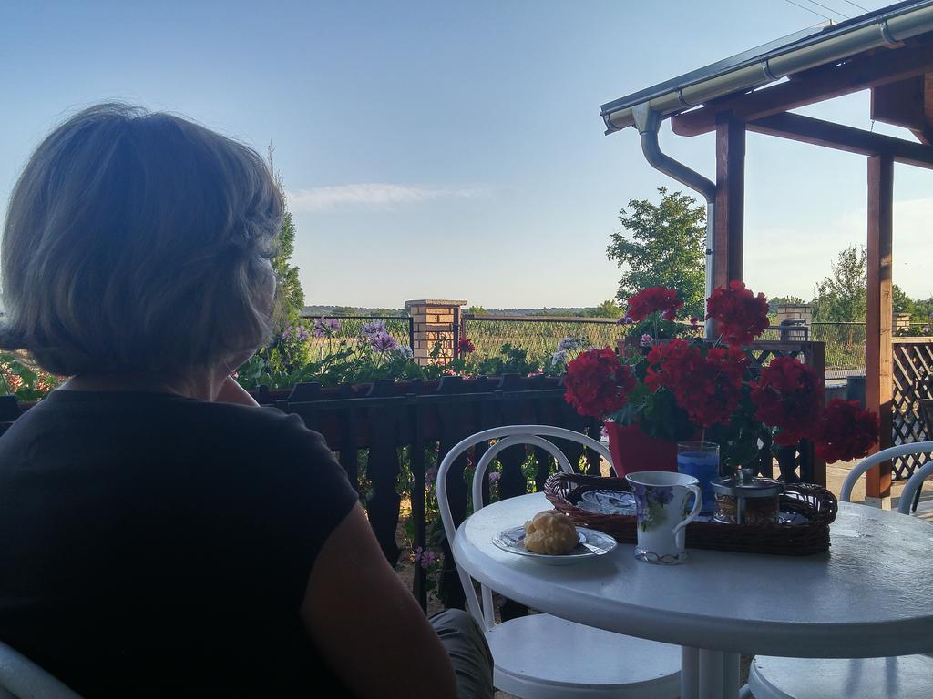 Guest House Dunavski Raj Kostol Екстериор снимка